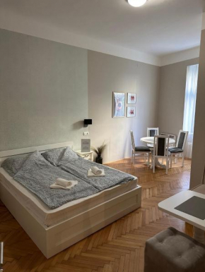 Nice 5 Apartments